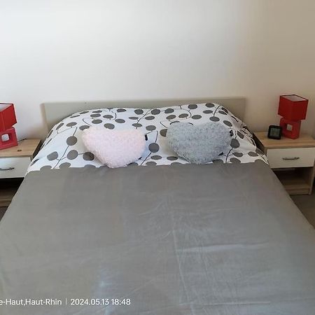 Apartment Einliegerwohnung Hagenthal-le-Haut Dış mekan fotoğraf