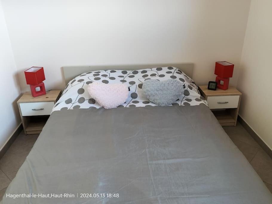 Apartment Einliegerwohnung Hagenthal-le-Haut Dış mekan fotoğraf