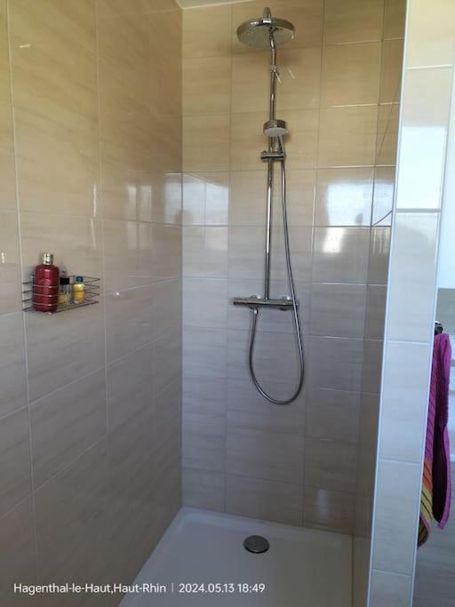 Apartment Einliegerwohnung Hagenthal-le-Haut Dış mekan fotoğraf