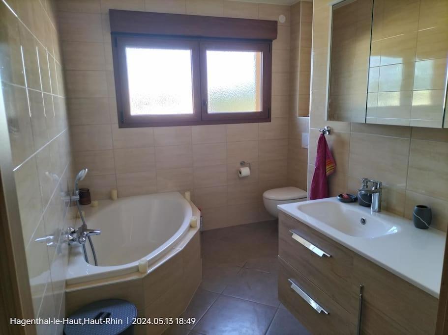 Apartment Einliegerwohnung Hagenthal-le-Haut Dış mekan fotoğraf